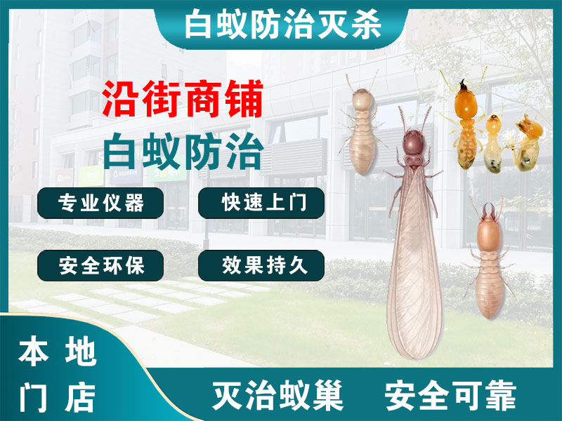苍南县沿街商铺白蚁防治