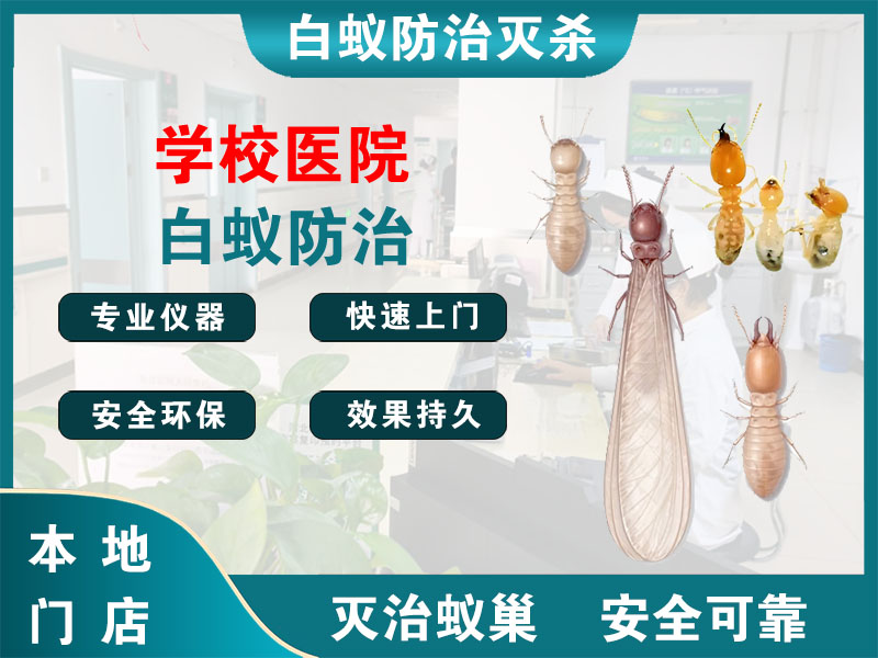 苍南县学校医院白蚁防治