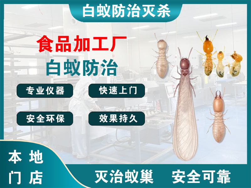 苍南县食品加工厂白蚁防治