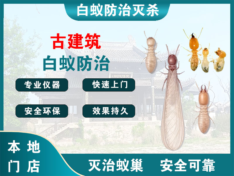 苍南县古建筑白蚁防治