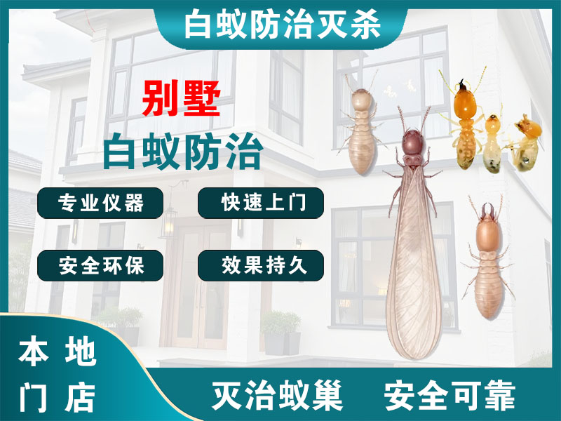 苍南县别墅白蚁防治